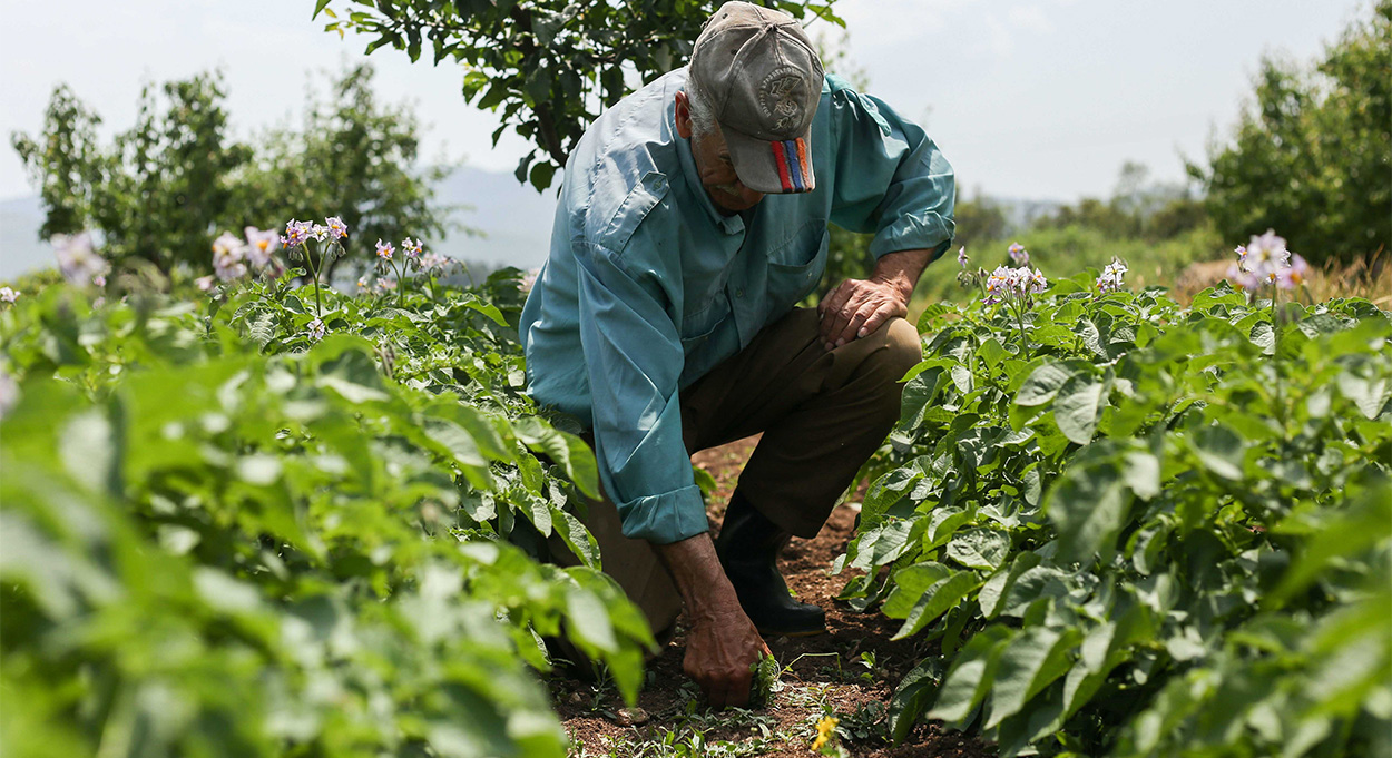 Agriculteurs